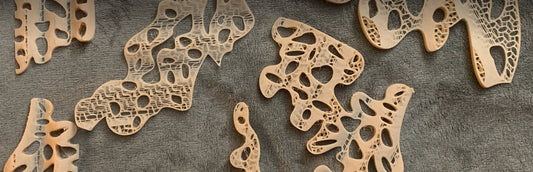 Kendra’s Vision. Balena’s Material. The 3D-Printed Compostable Dress That Turns Heads